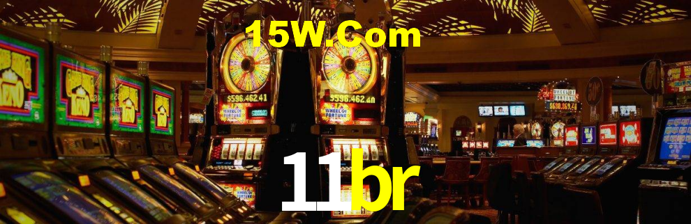 Interface Premium 11br